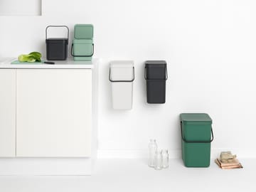 Cestino per rifiuti Sort & Go 3 L - Jade green - Brabantia