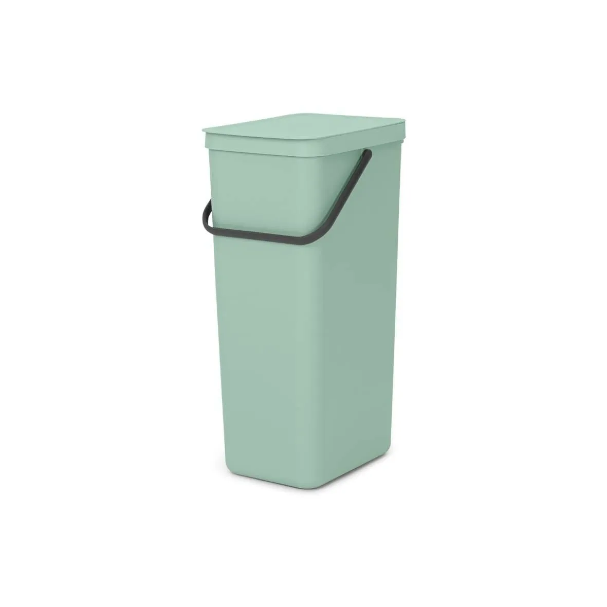 Pattumiera Sort & Go 40L Brabantia