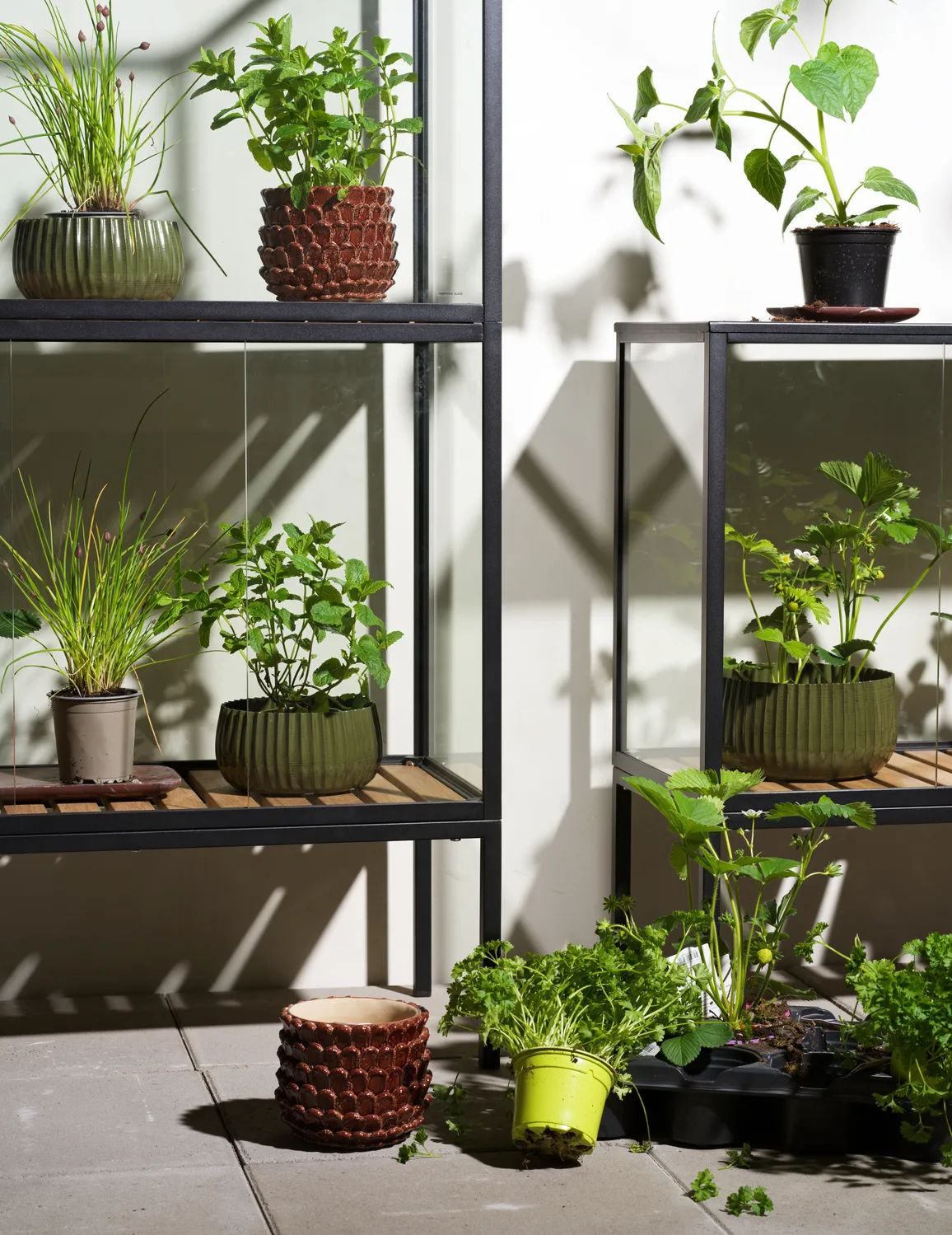 Armadio per piante Grower Greens, Nero, 81x137 cm Brafab