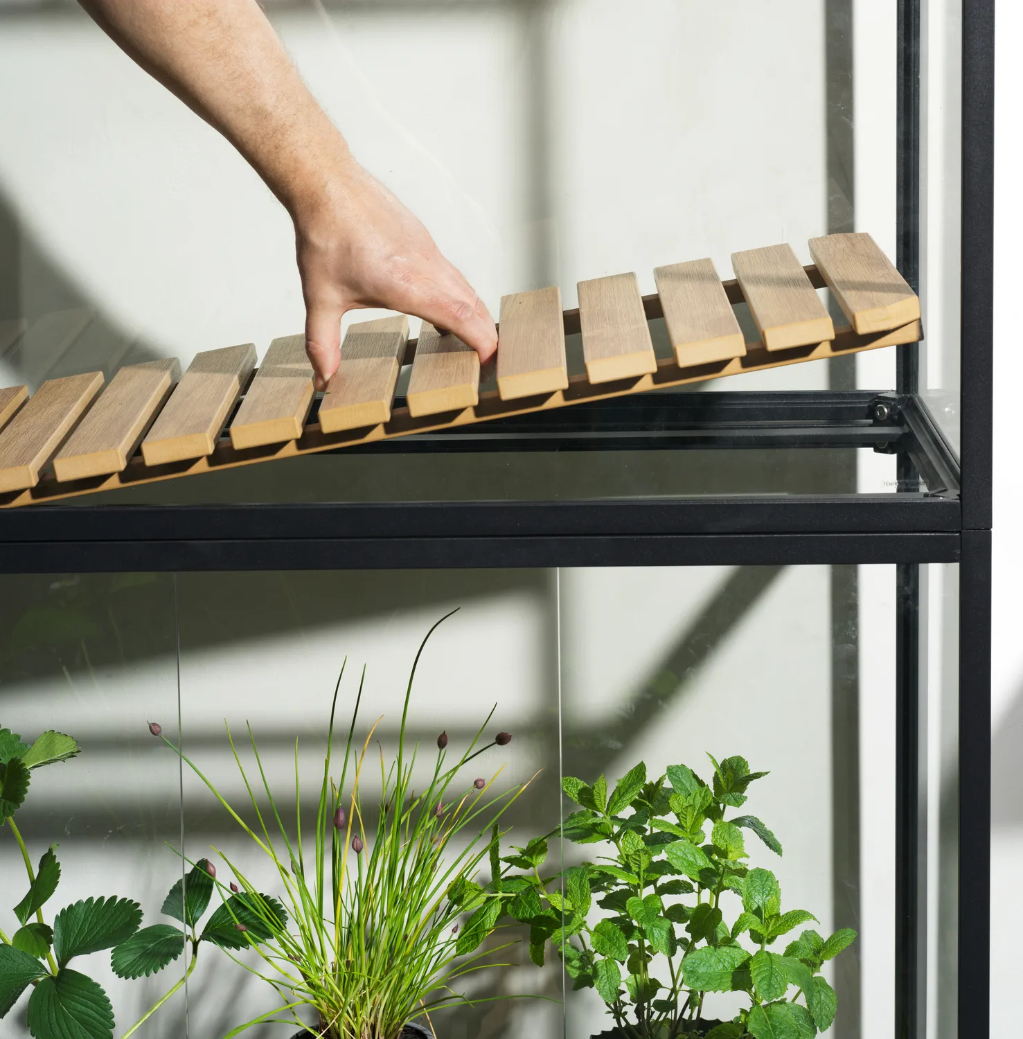 Armadio per piante Grower Greens, Nero, 81x137 cm Brafab