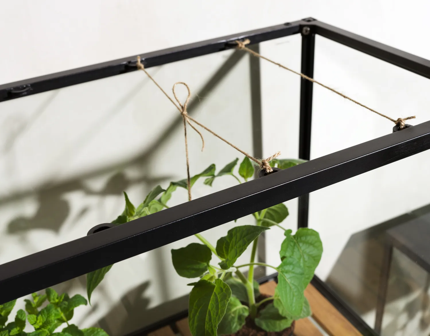 Armadio per piante Grower Greens, Nero, 81x137 cm Brafab