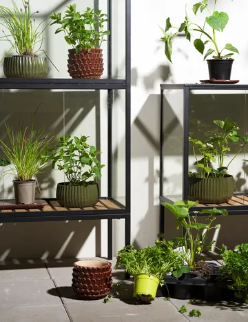 Armadio per piante Grower Greens - Nero, 81x82 cm - Brafab