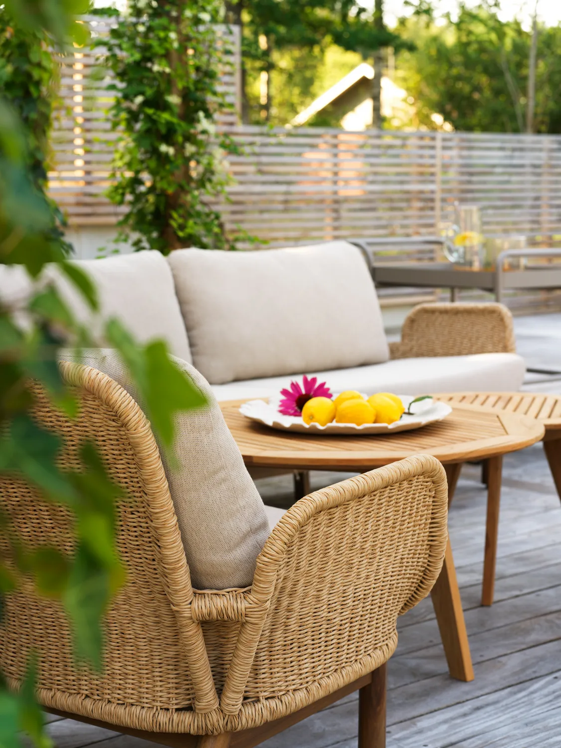 Divano Lily, Twist straw-plush wheat, 2,5 posti Brafab