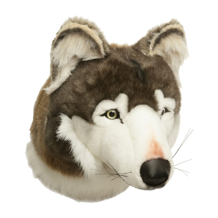 Testa di lupo da appendere al muro, Wolf Brigbys