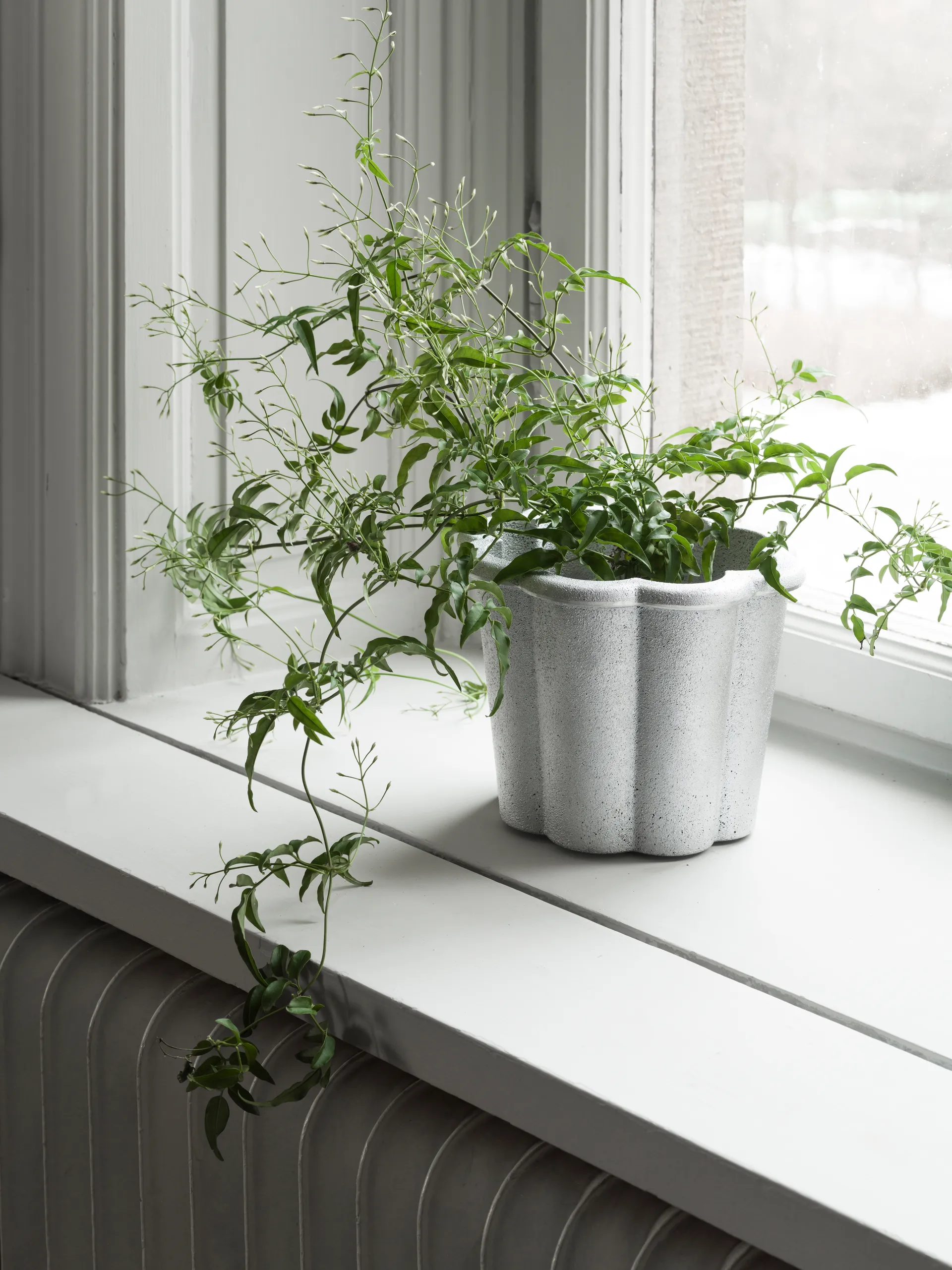 Vaso alto Fjällsippa Ø26x21 cm, Naturale Byarums bruk