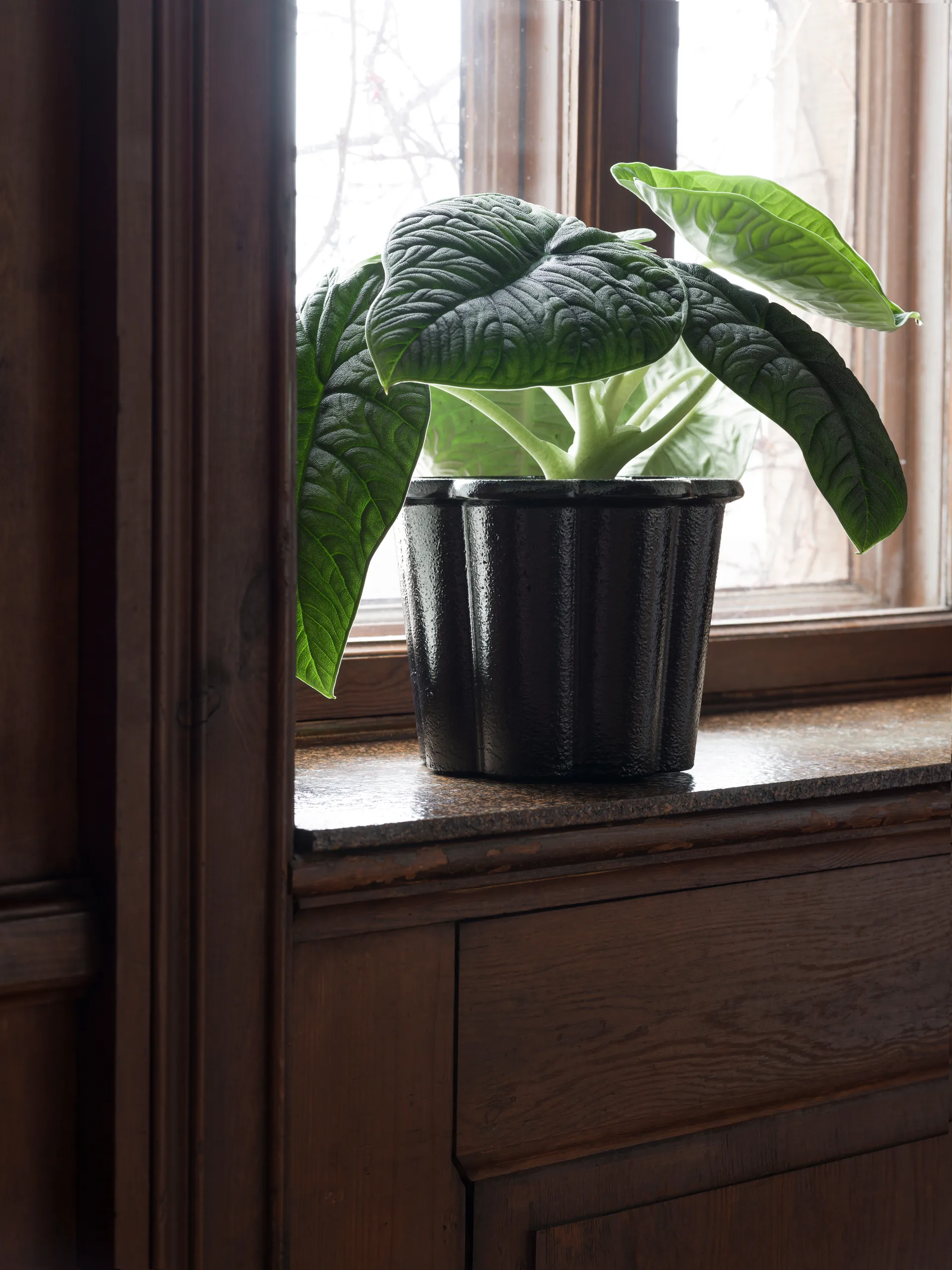 Vaso alto Fjällsippa Ø26x21 cm, Nero Byarums bruk