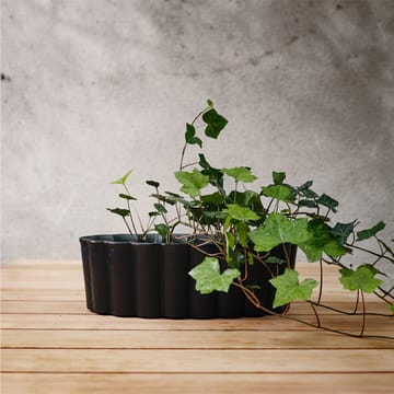 Vaso per piante Palissad - Nero - Byarums bruk