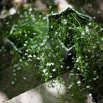 Vaso Stjärnkruka - Alluminio, alto Ø30 cm - Byarums bruk