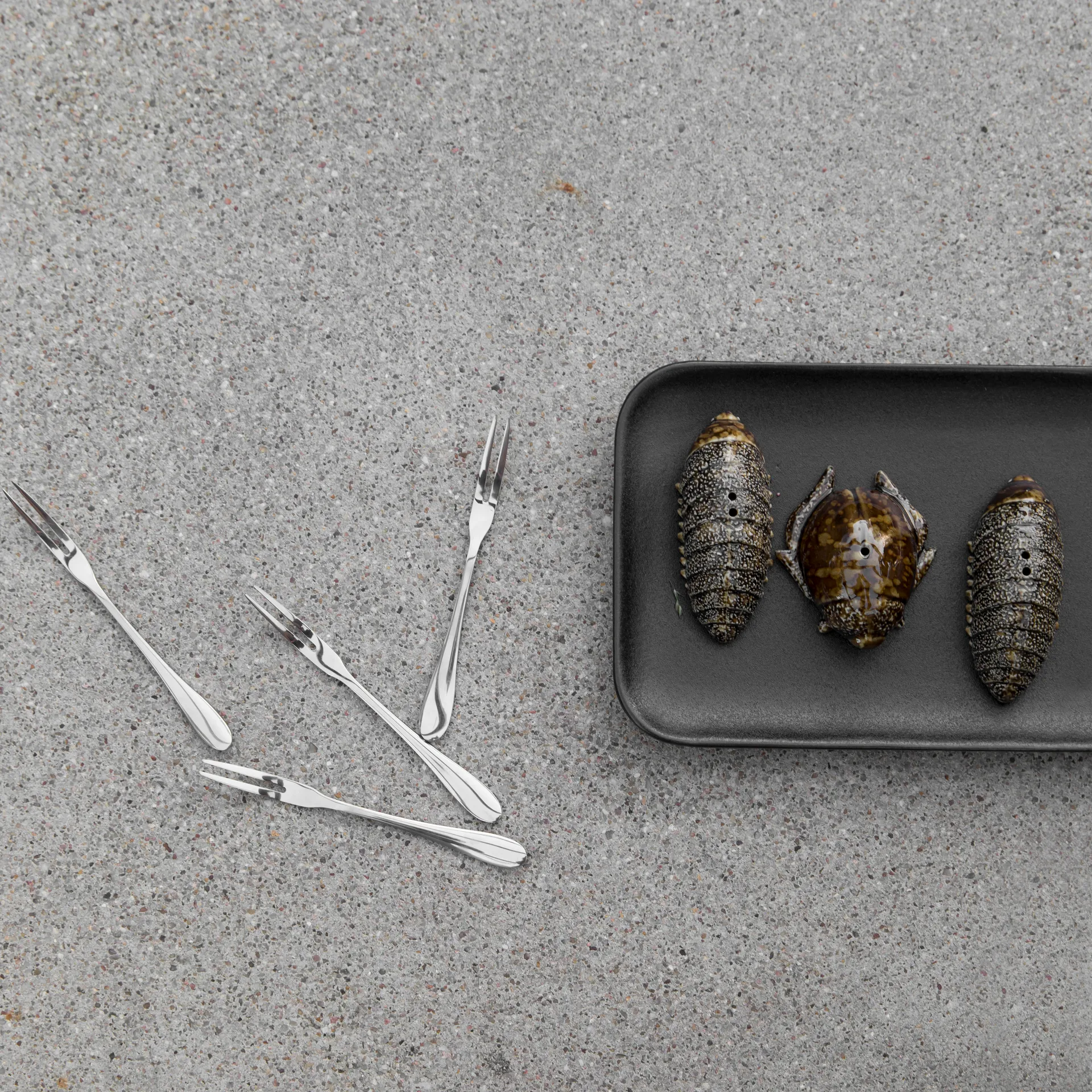 Coleotteri porta sale e pepe, marrone Byon