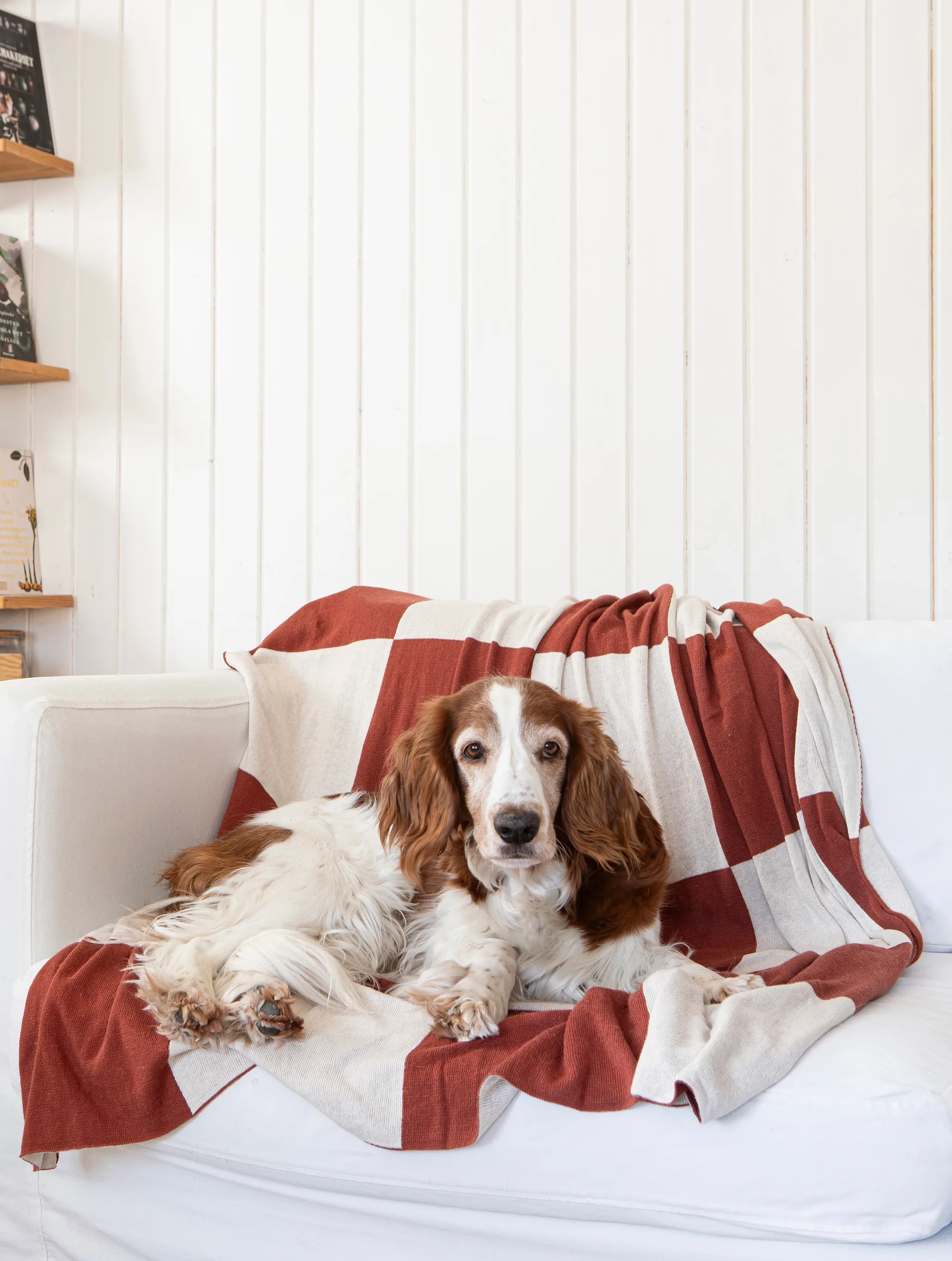 Plaid Square 130x170 cm, Marrone scuro Classic Collection