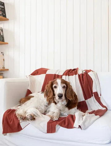 Plaid Square 130x170 cm - Marrone scuro - Classic Collection