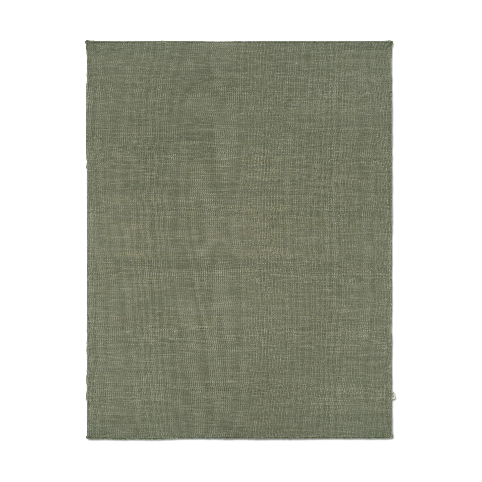 Tappeto Plain, Verde, 250x350 cm Classic Collection