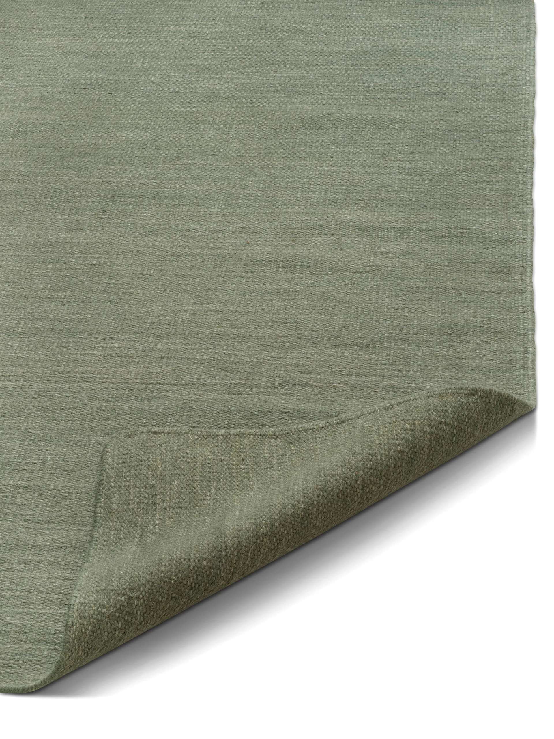 Tappeto Plain, Verde, 250x350 cm Classic Collection