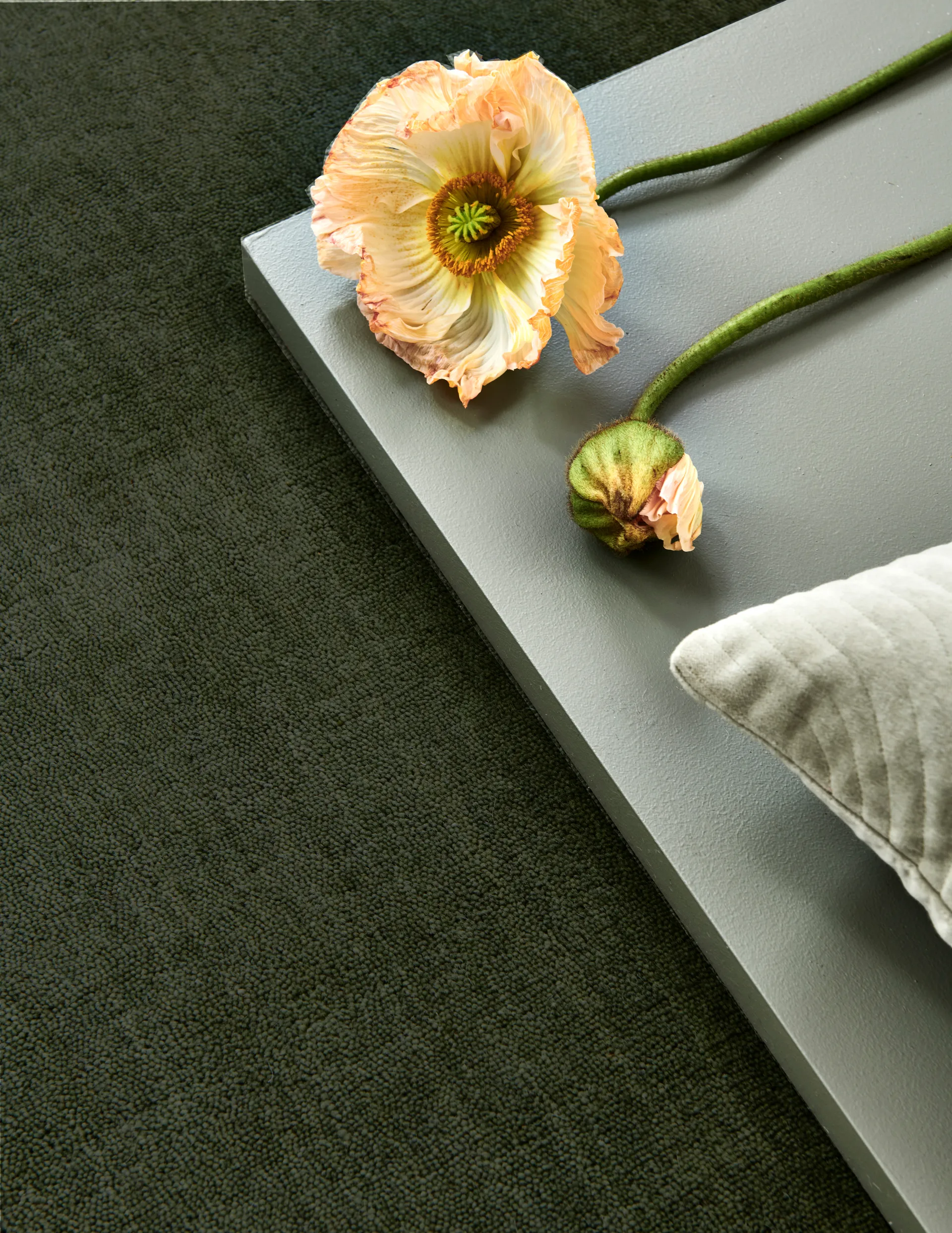 Tappeto Solid, Verde, 250x350 cm Classic Collection