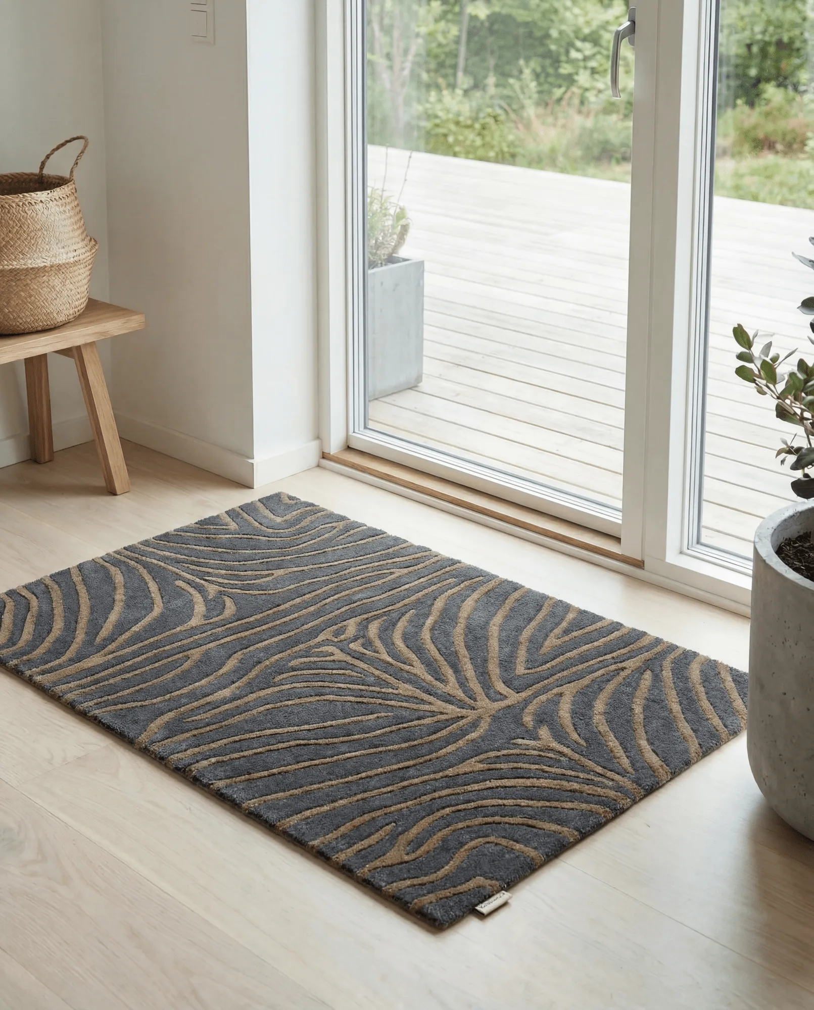 Zebra zerbino, Horizon, 60x90 cm Classic Collection
