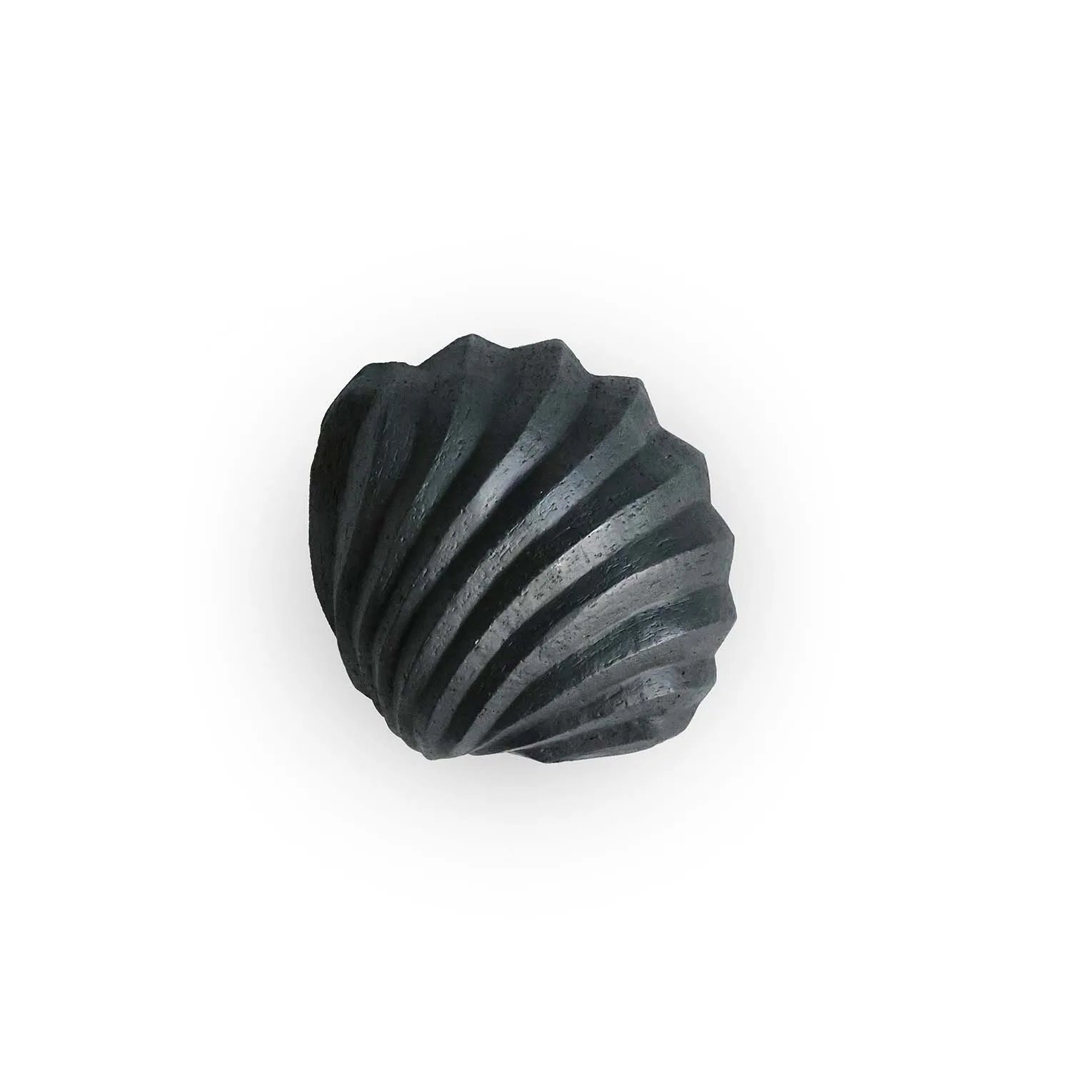 Scultura The Clam Shell 13 cm, Coal Cooee Design