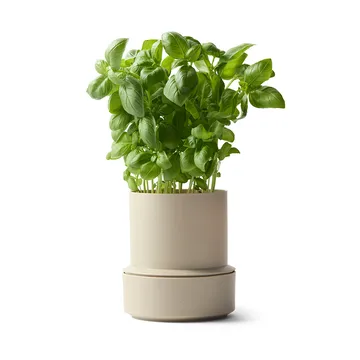 Billund vaso per erbe autoirrigante - cumino - Crushgrind