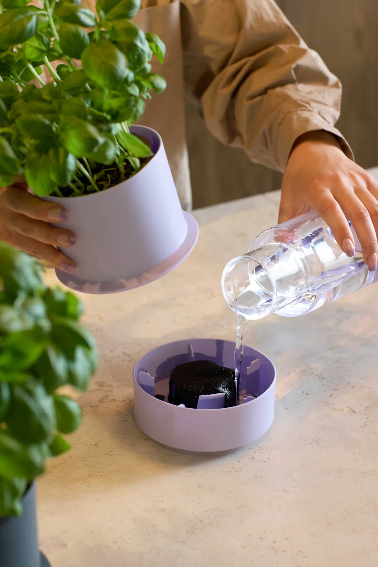 Billund vaso per erbe autoirrigante, cumino Crushgrind
