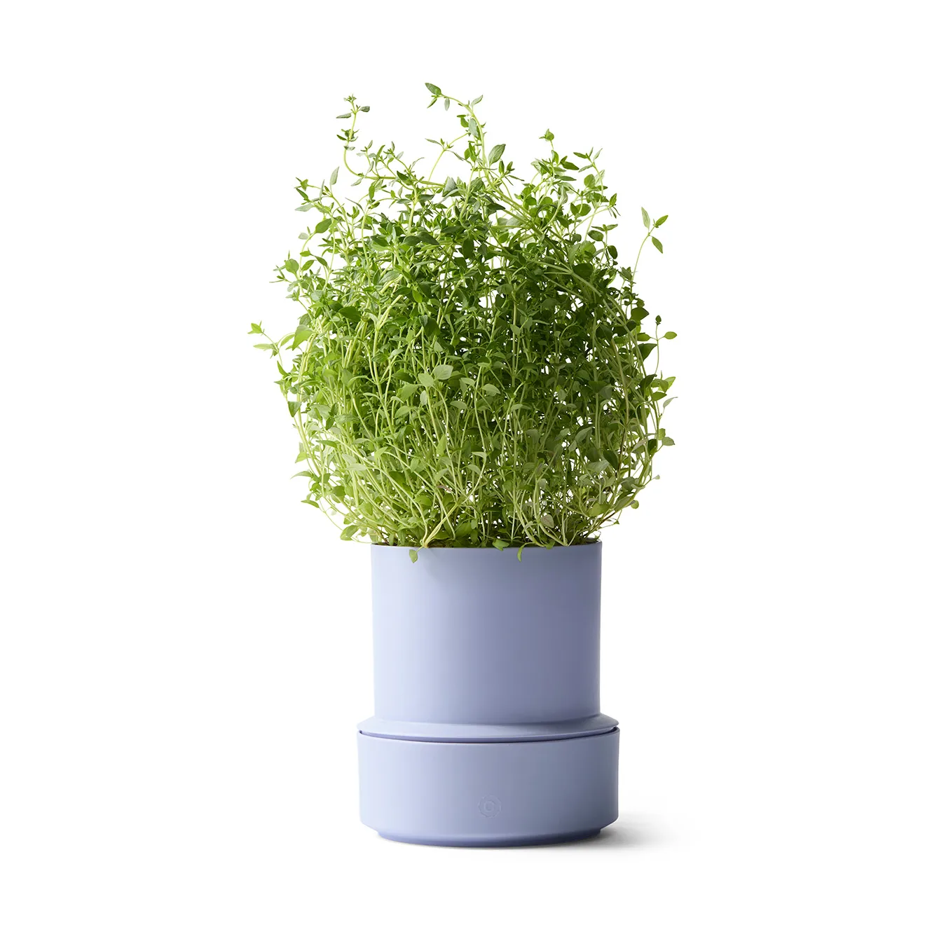 Billund vaso per erbe autoirrigante, lavanda Crushgrind