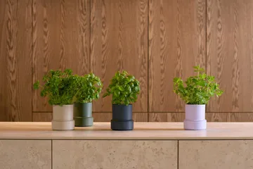 Billund vaso per erbe autoirrigante - lavanda - Crushgrind
