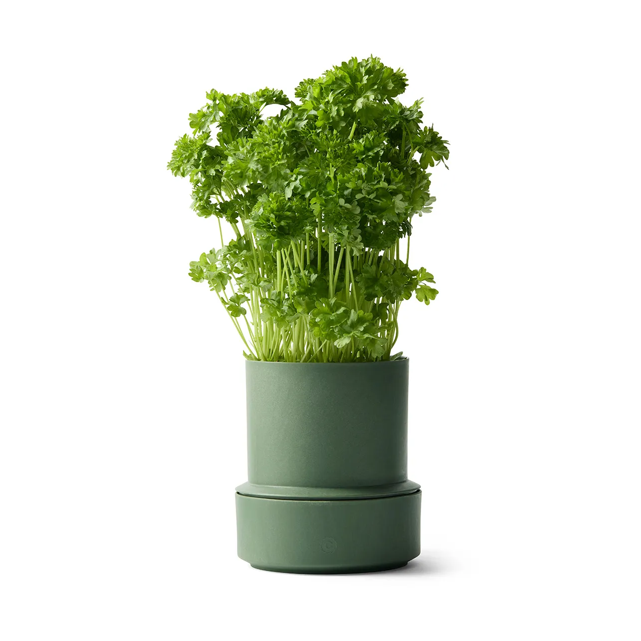 Billund vaso per erbe autoirrigante, prezzemolo Crushgrind