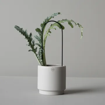 Arco per fiori DBKD - Nero - DBKD