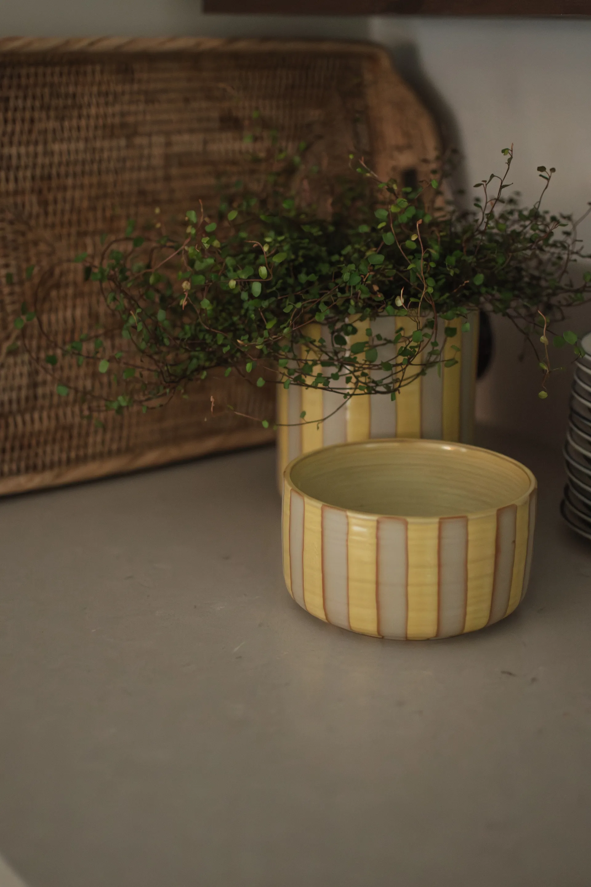 Ciotola decorativa Line Ø16 cm, Giallo DBKD