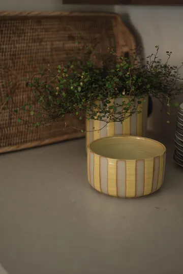 Ciotola decorativa Line Ø16 cm - Giallo - DBKD