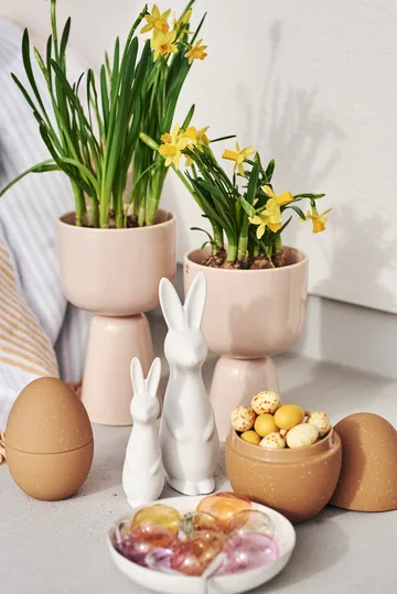 Coniglio Swedish grande - Bianco - DBKD