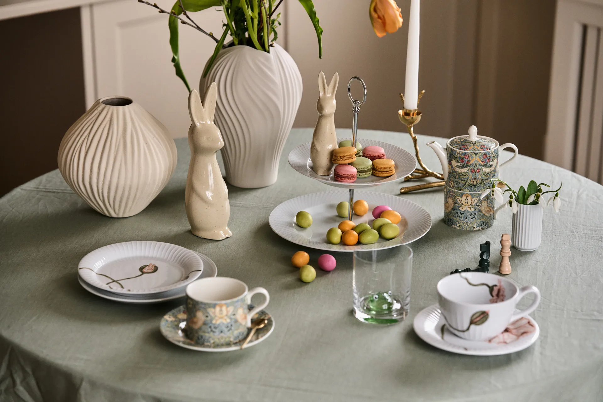 Coniglio Swedish grande, Vaniglia DBKD