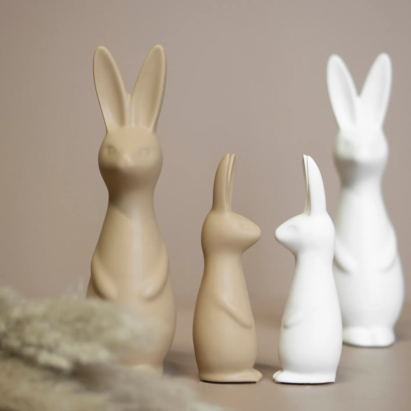 Coniglio Swedish piccolo, Bianco DBKD