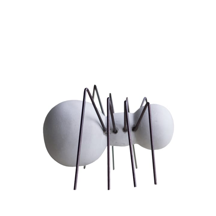 Decorazione Concrete Bug, grigio, ragno DBKD