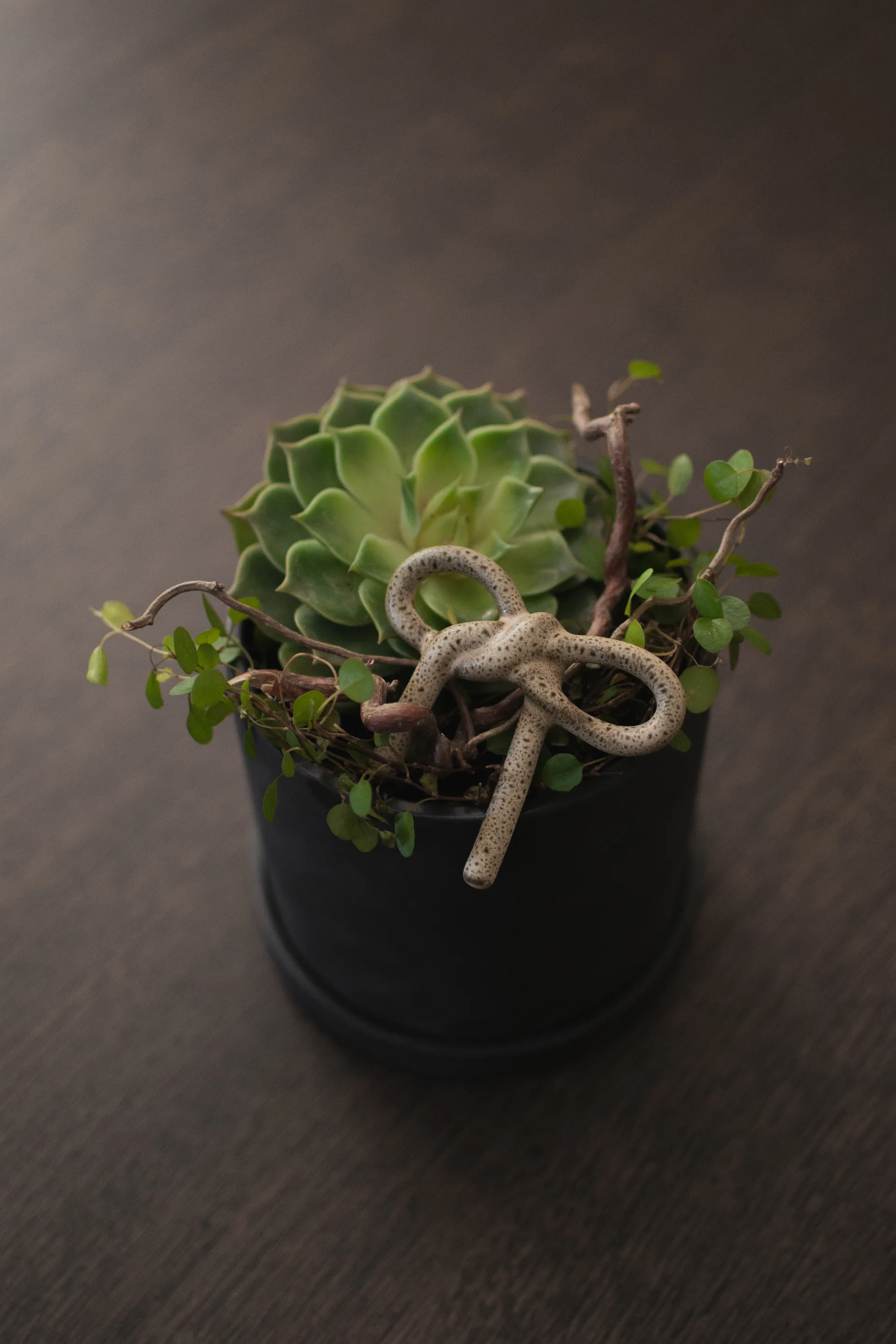 Decorazione floreale Bow, Beige DBKD