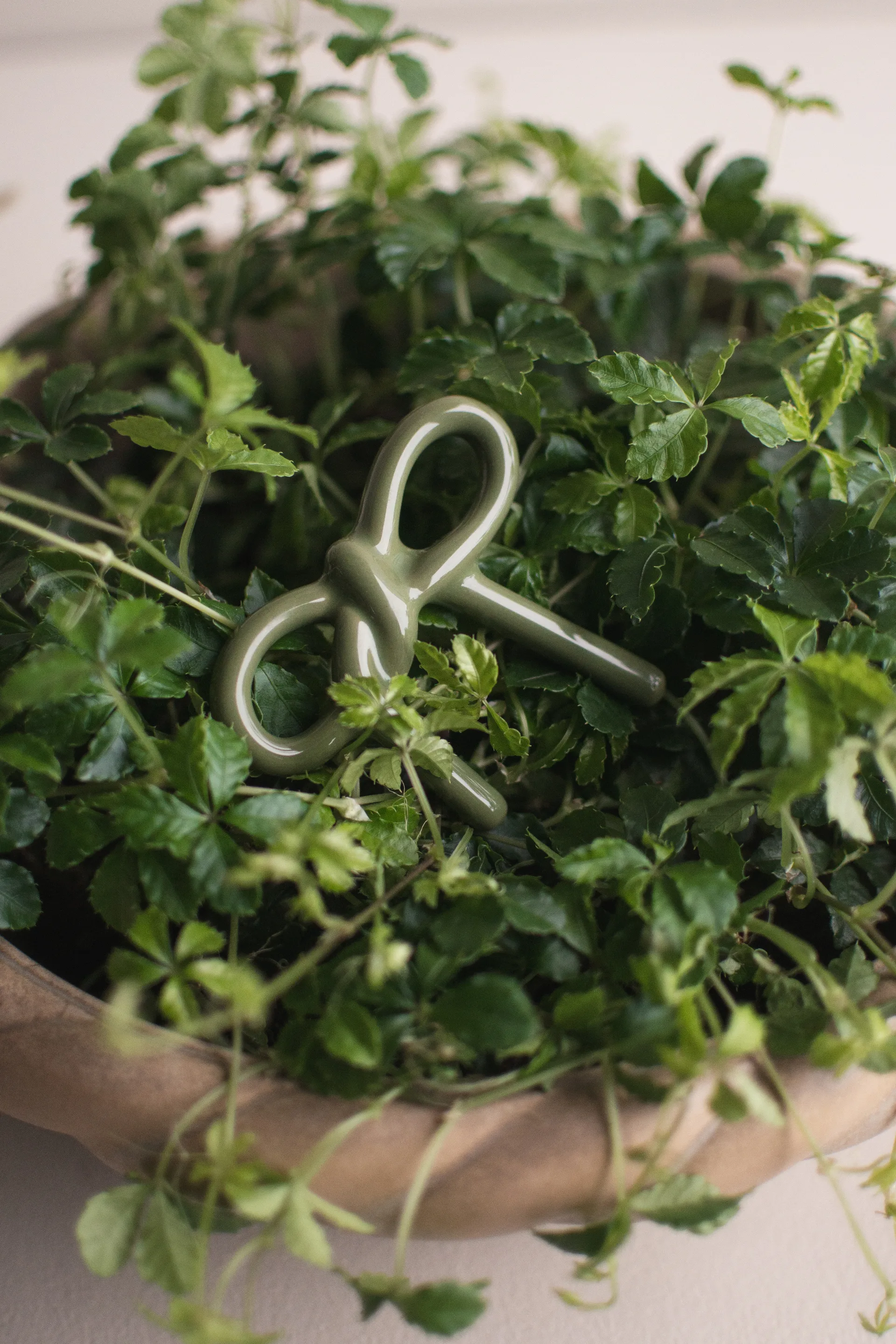 Decorazione floreale Bow, Shiny green DBKD