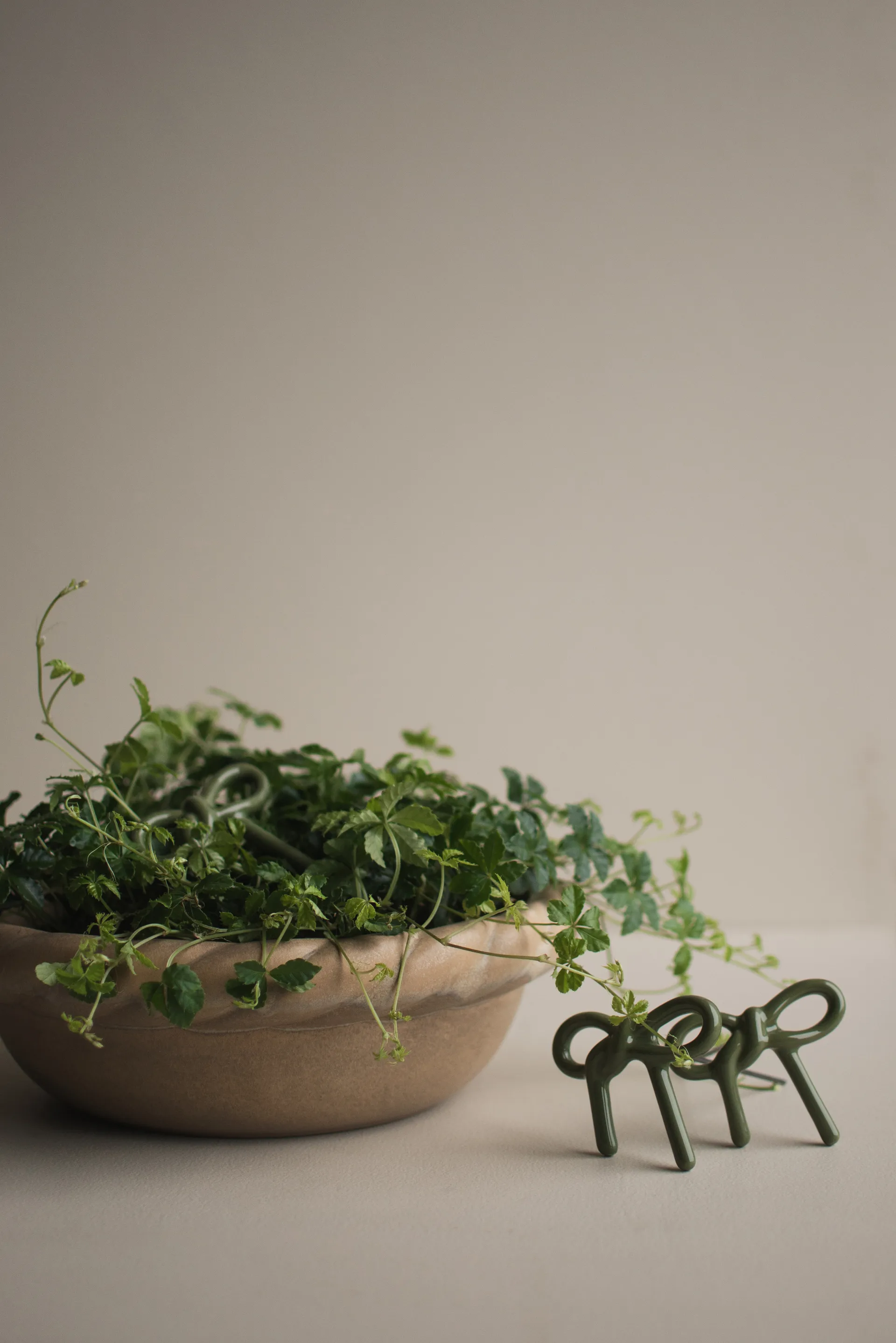 Decorazione floreale Bow, Shiny green DBKD