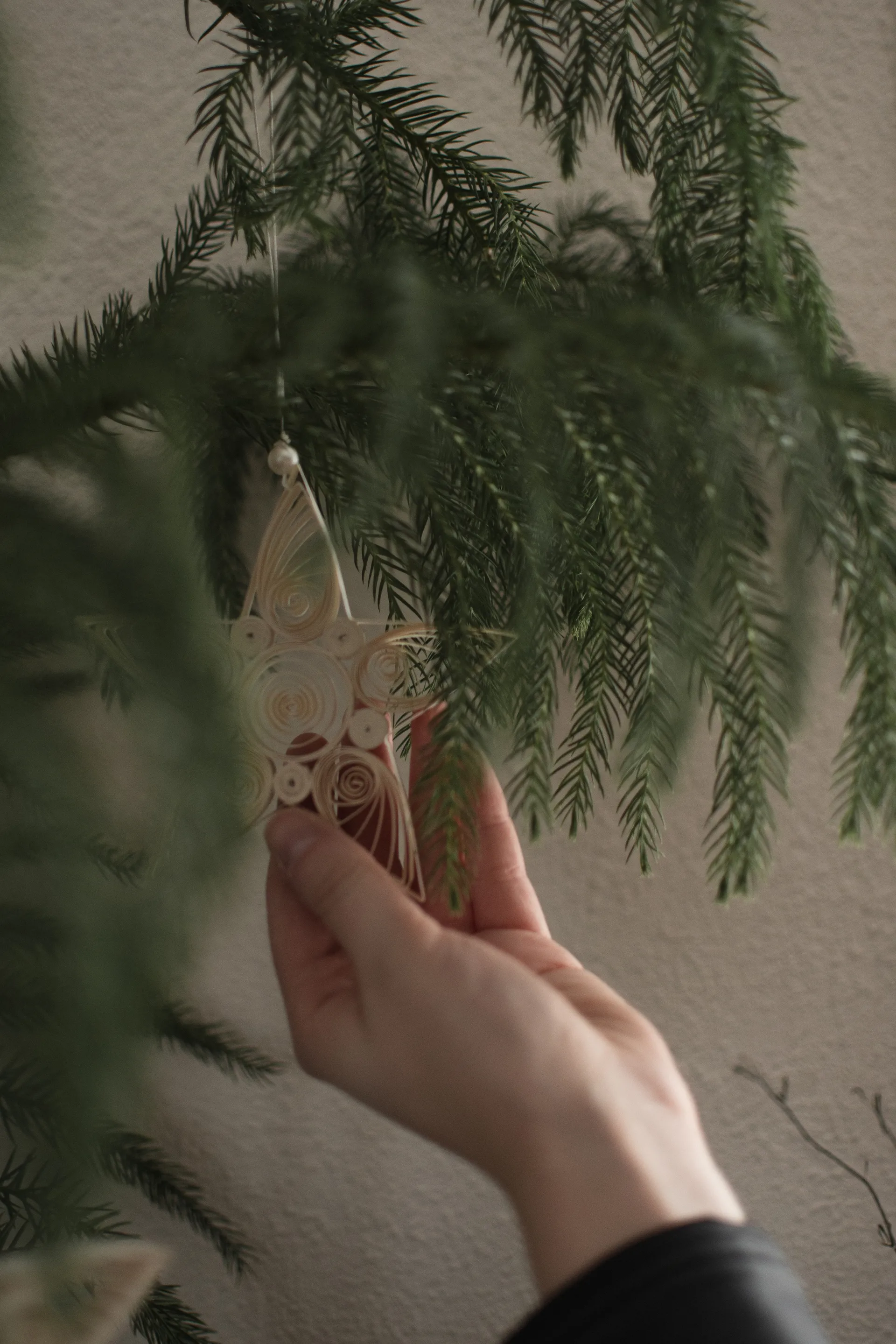 Decorazione natalizia Stella di carta 10,5 cm, Bianco DBKD