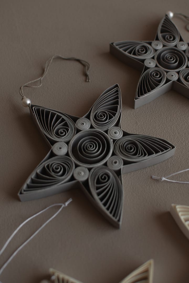 Decorazione natalizia Stella di carta 10,5 cm, Mole DBKD