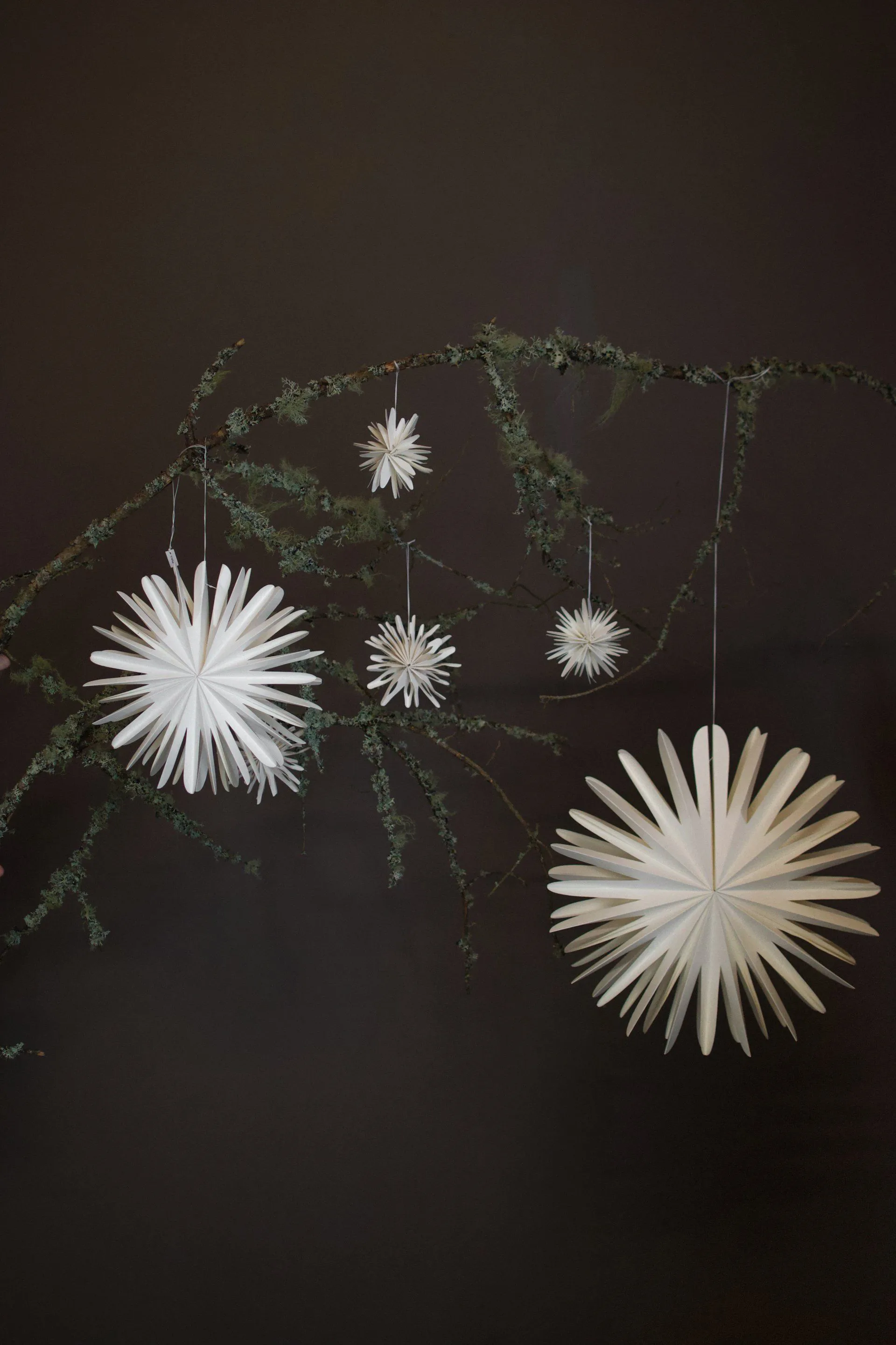 Decorazione Paper flake, Extra large DBKD