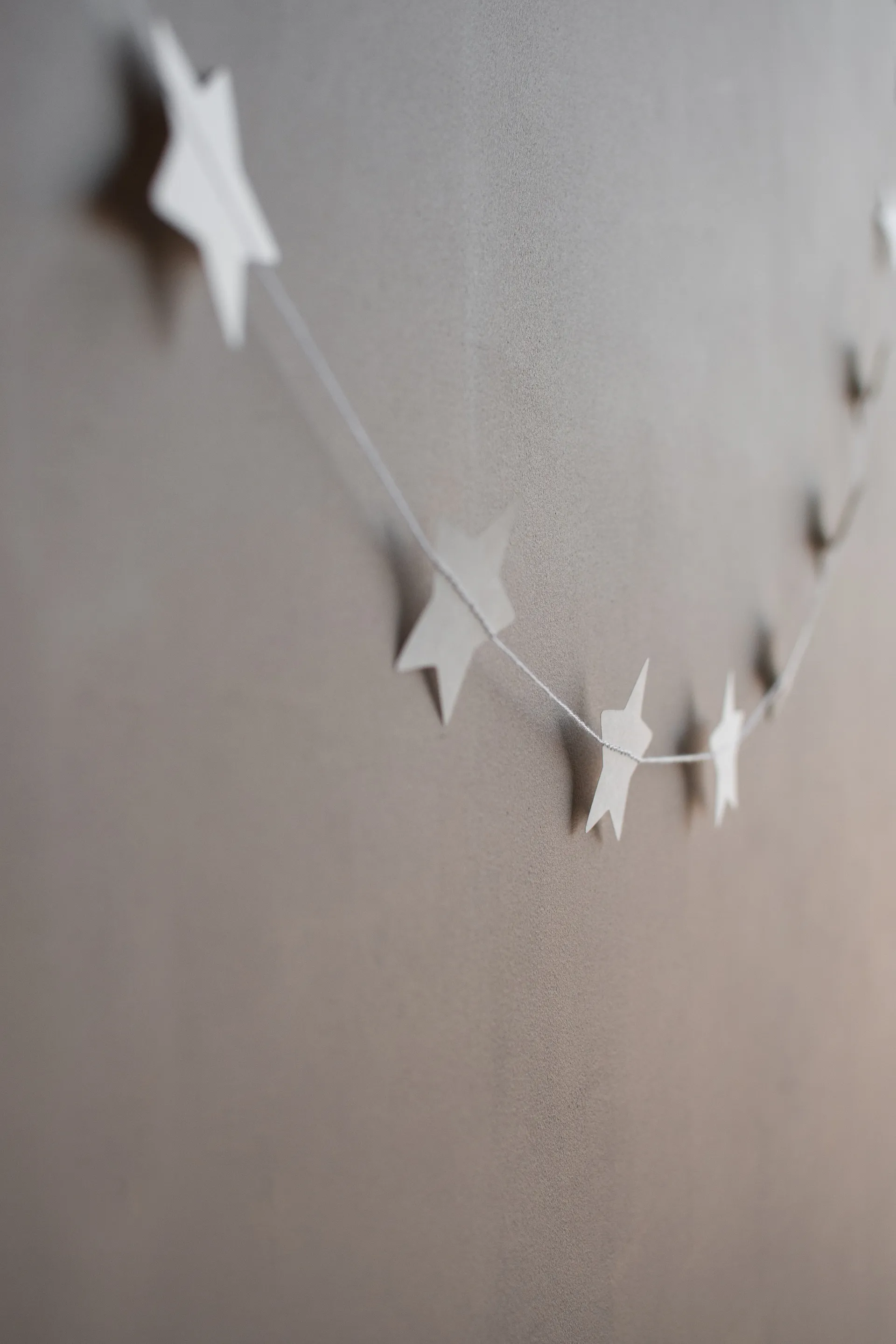 Decorazione Stella Garland, Bianco DBKD