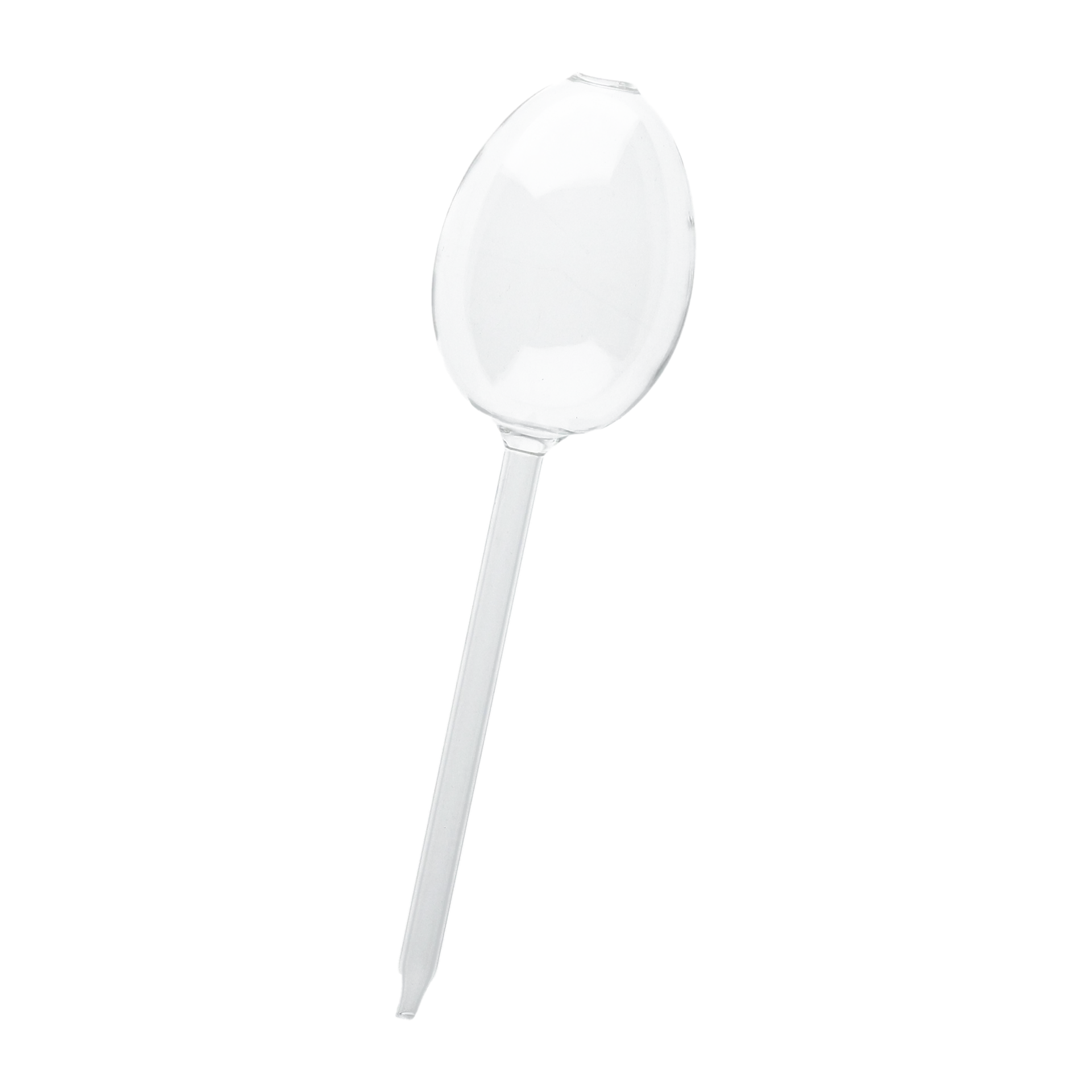 Dispositivo autoirrigante Waterbubble, trasparente DBKD