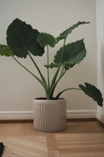 Ease vaso - Shiny mole, Ø30x28 cm - DBKD