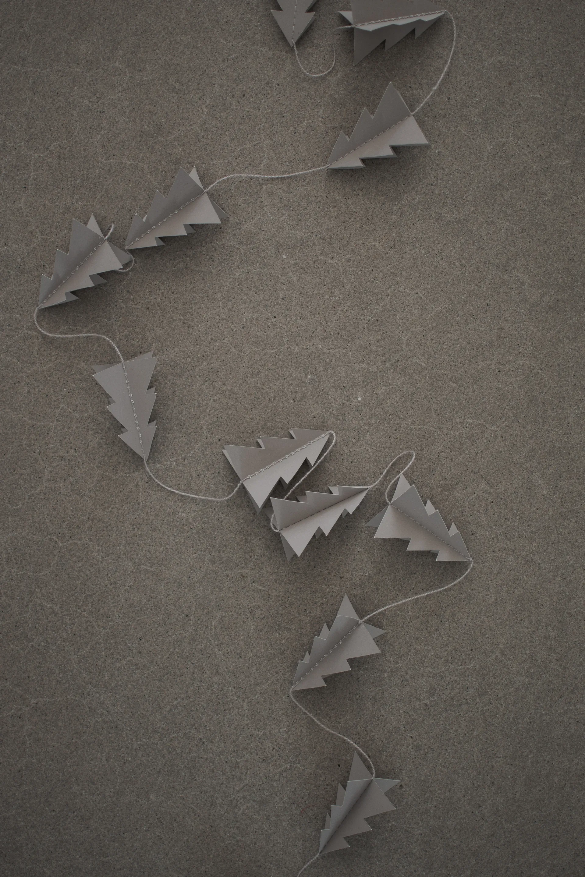 Ghirlanda Garland, Grigio talpa DBKD