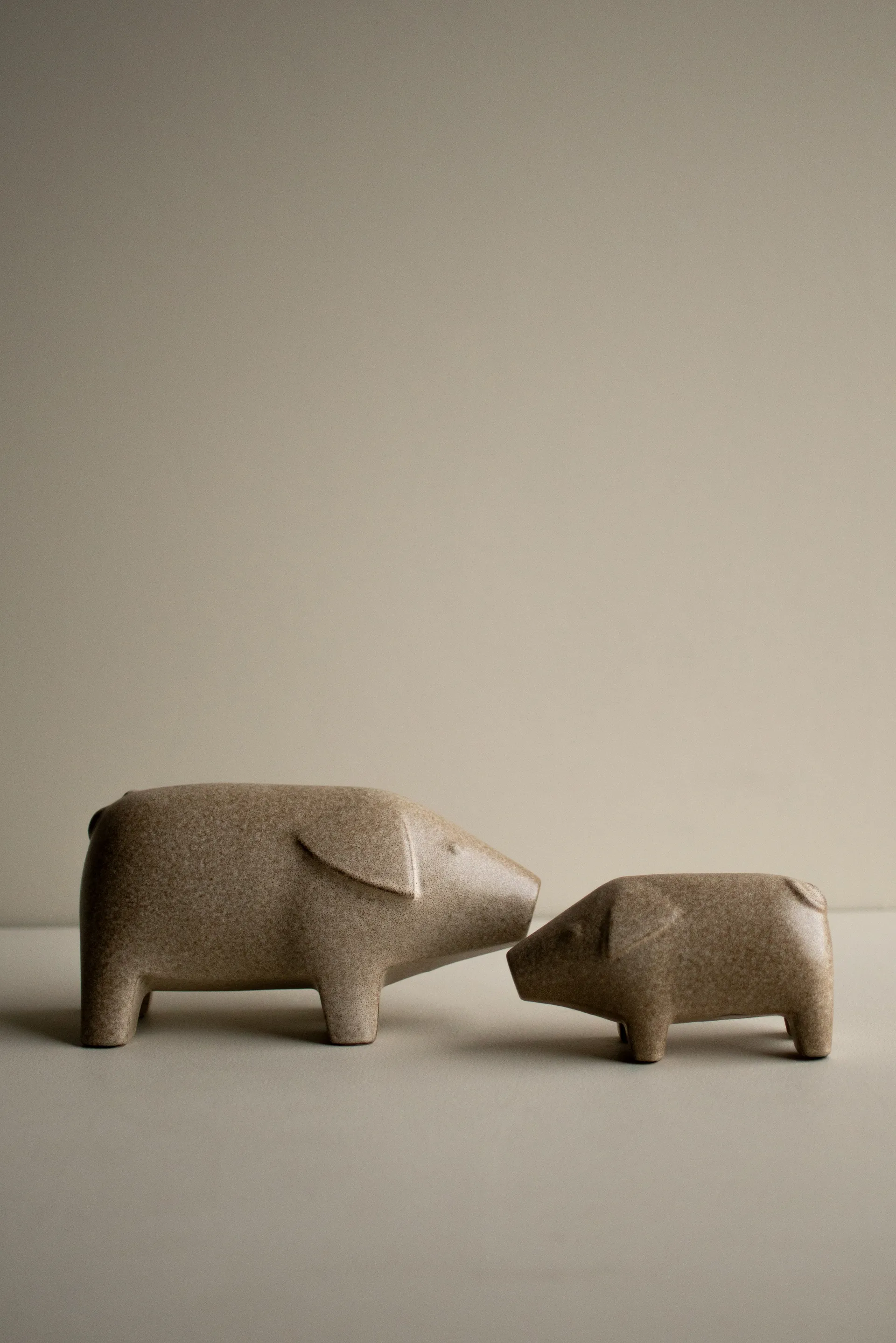 Maiale svedese piccolo, Beige DBKD
