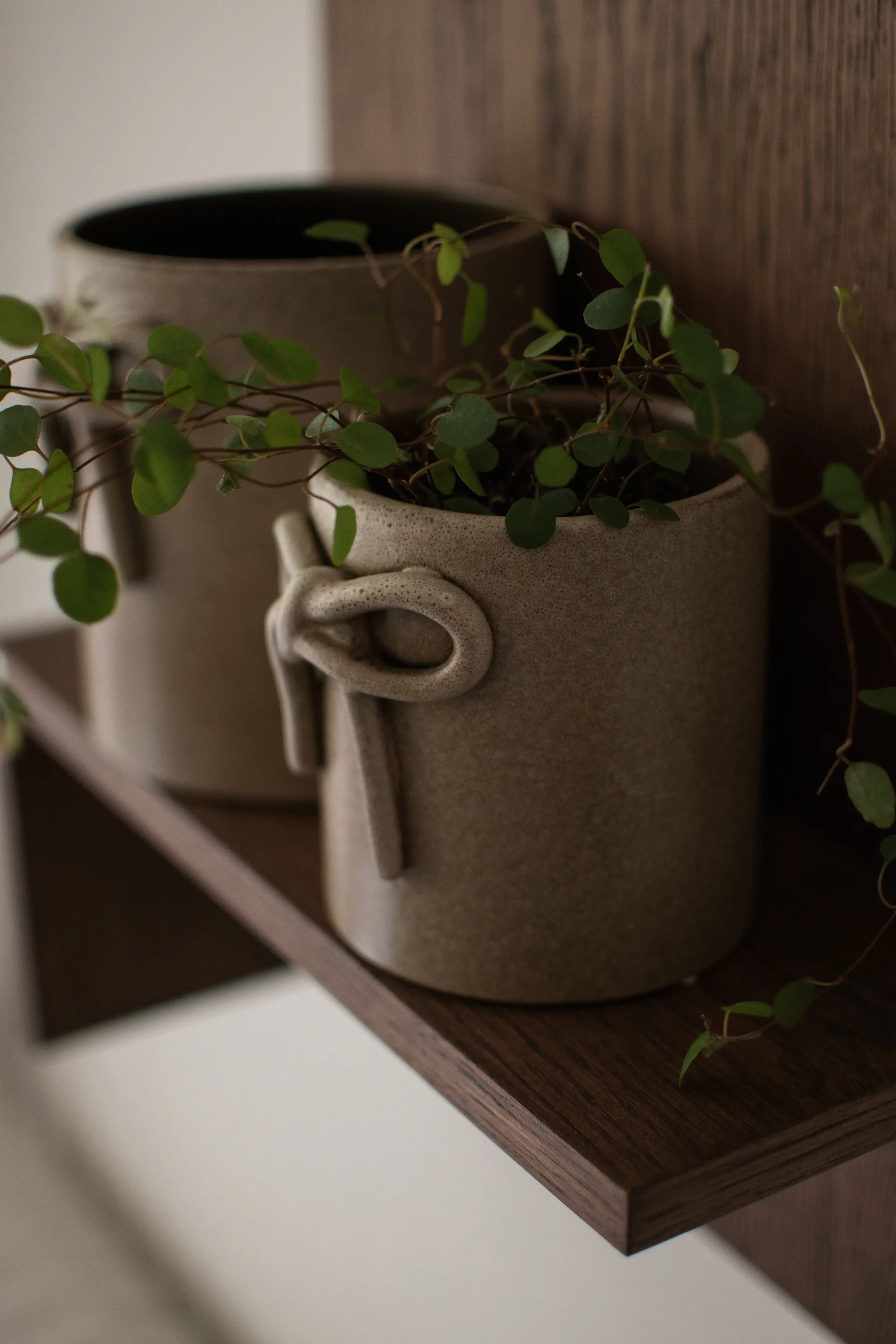 Vaso Bow Ø11 cm, Beige DBKD