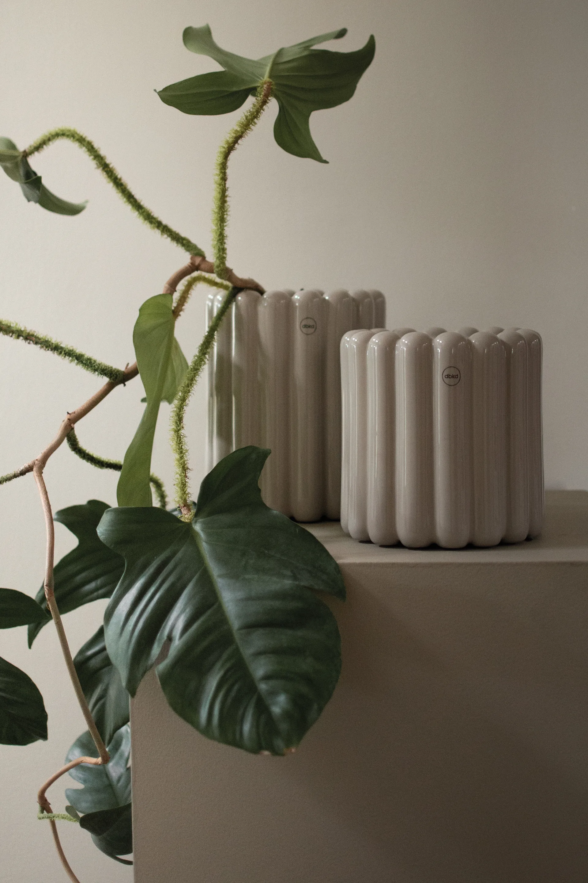 Vaso da fiori Mist piccolo Ø19x19 cm, Shiny mole DBKD