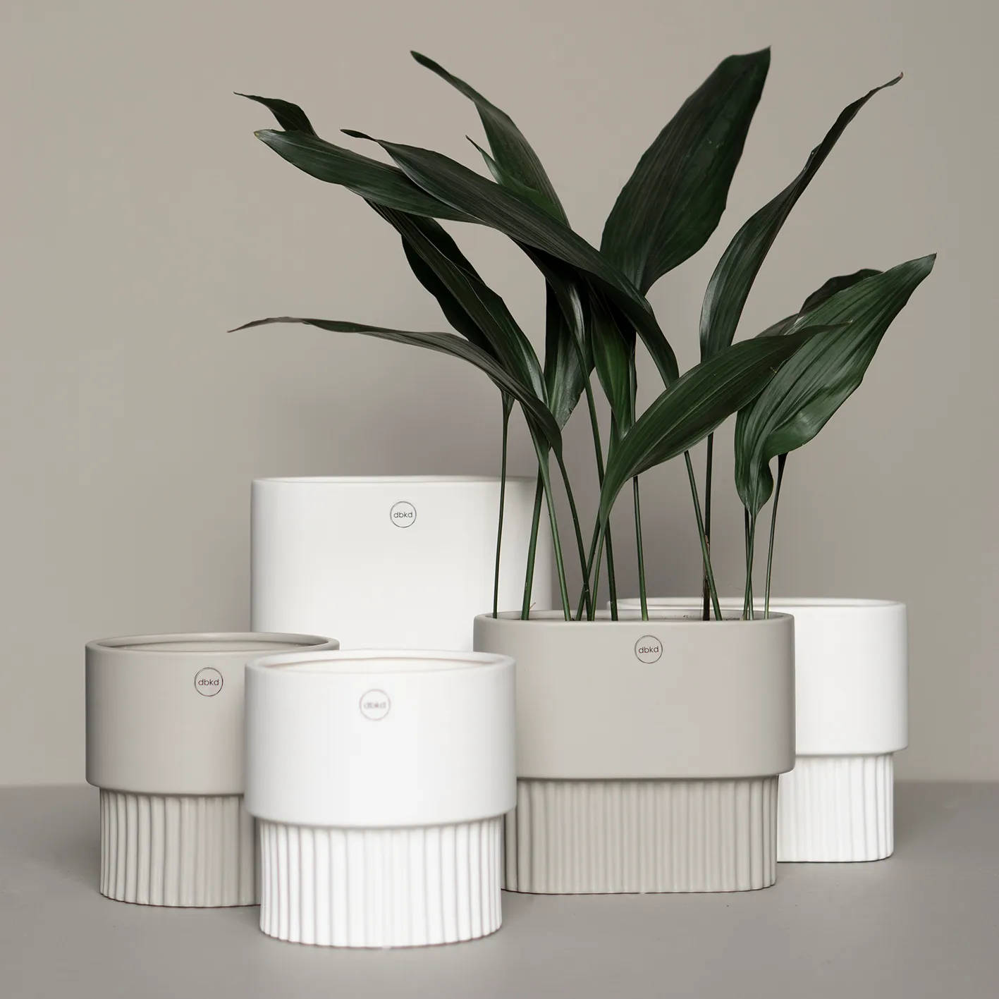 Vaso da fiori ovale basso Front, bianco DBKD