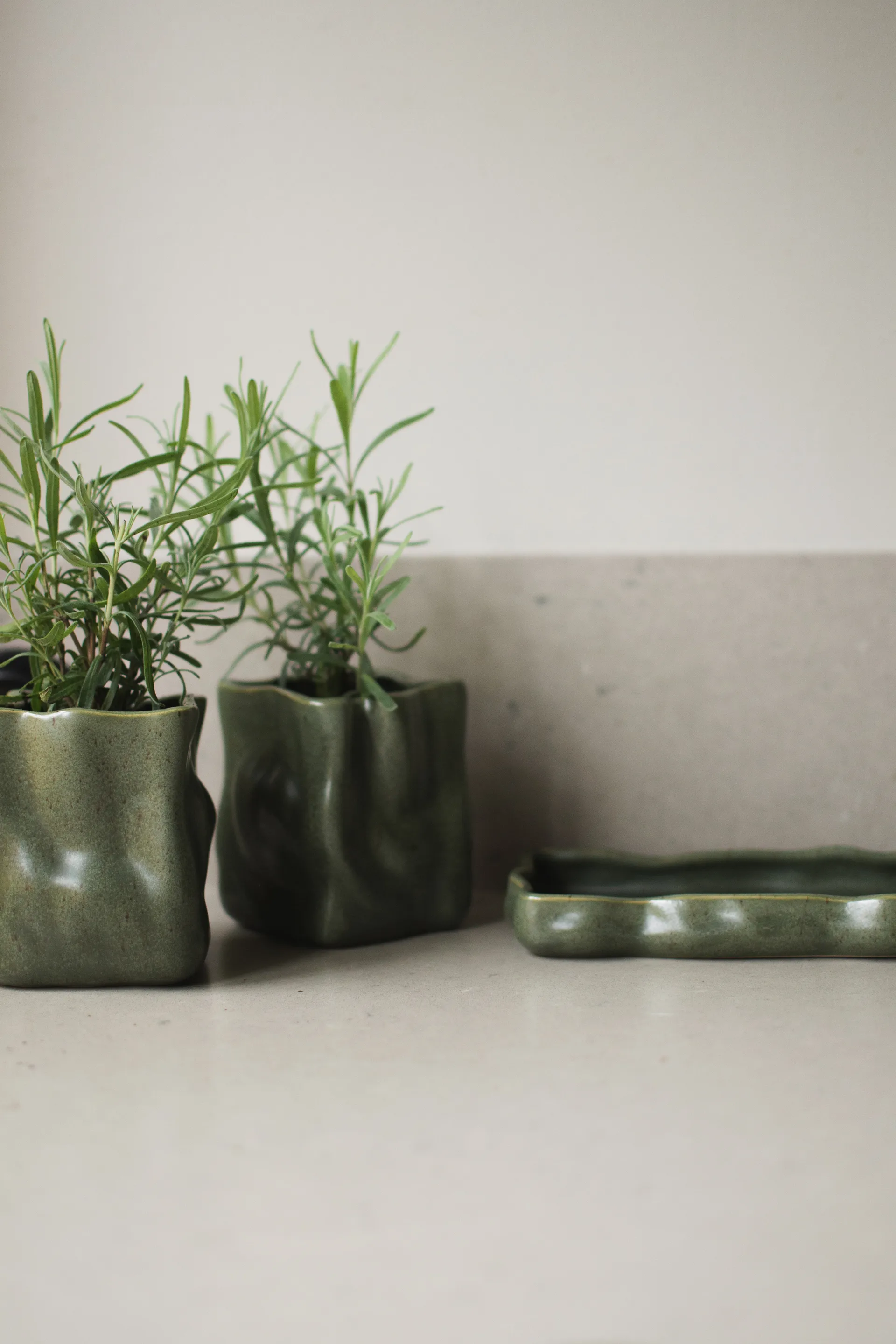 Vaso Herb 3 pezzi, Muschio DBKD