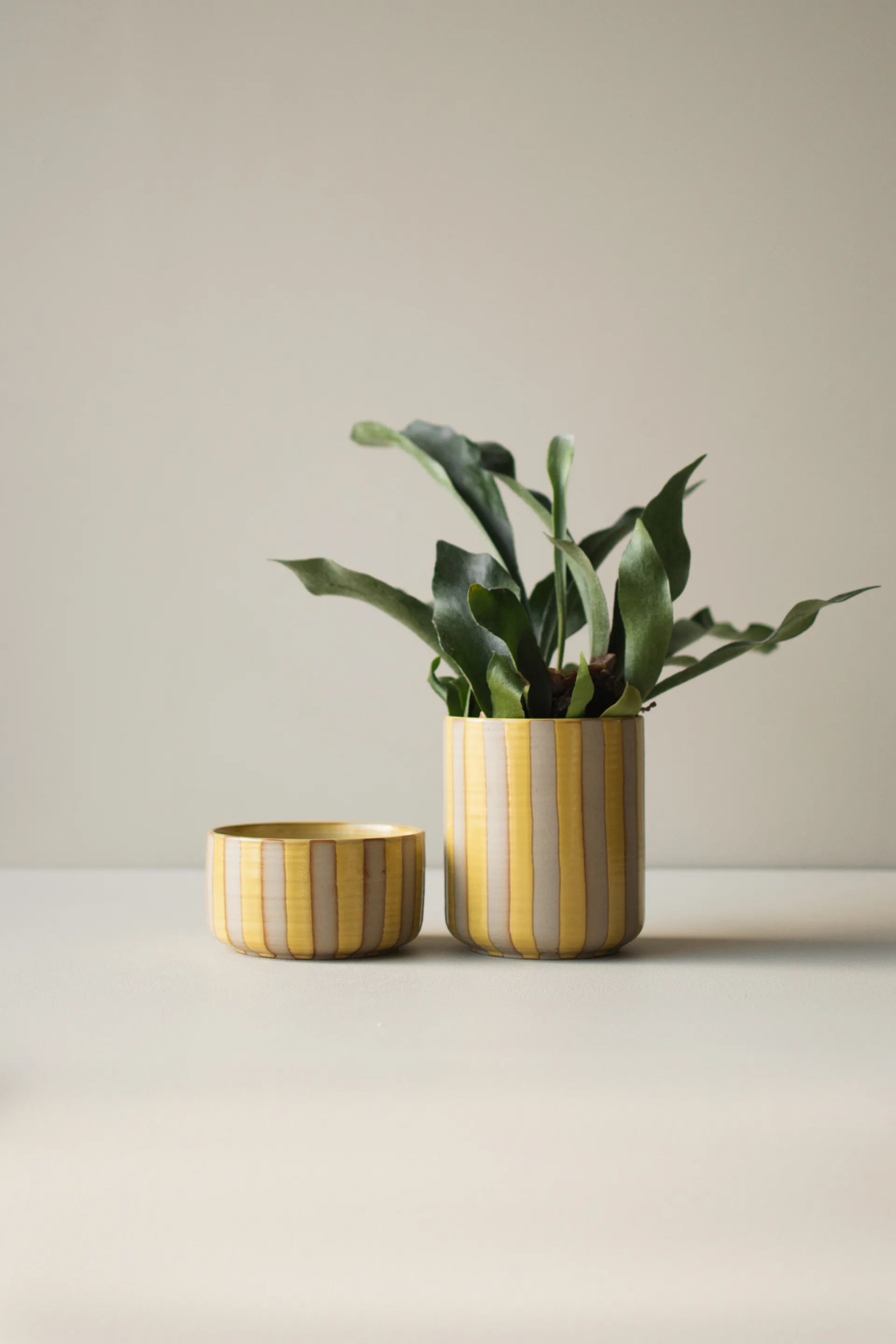 Vaso Line Ø14x16 cm, Giallo DBKD