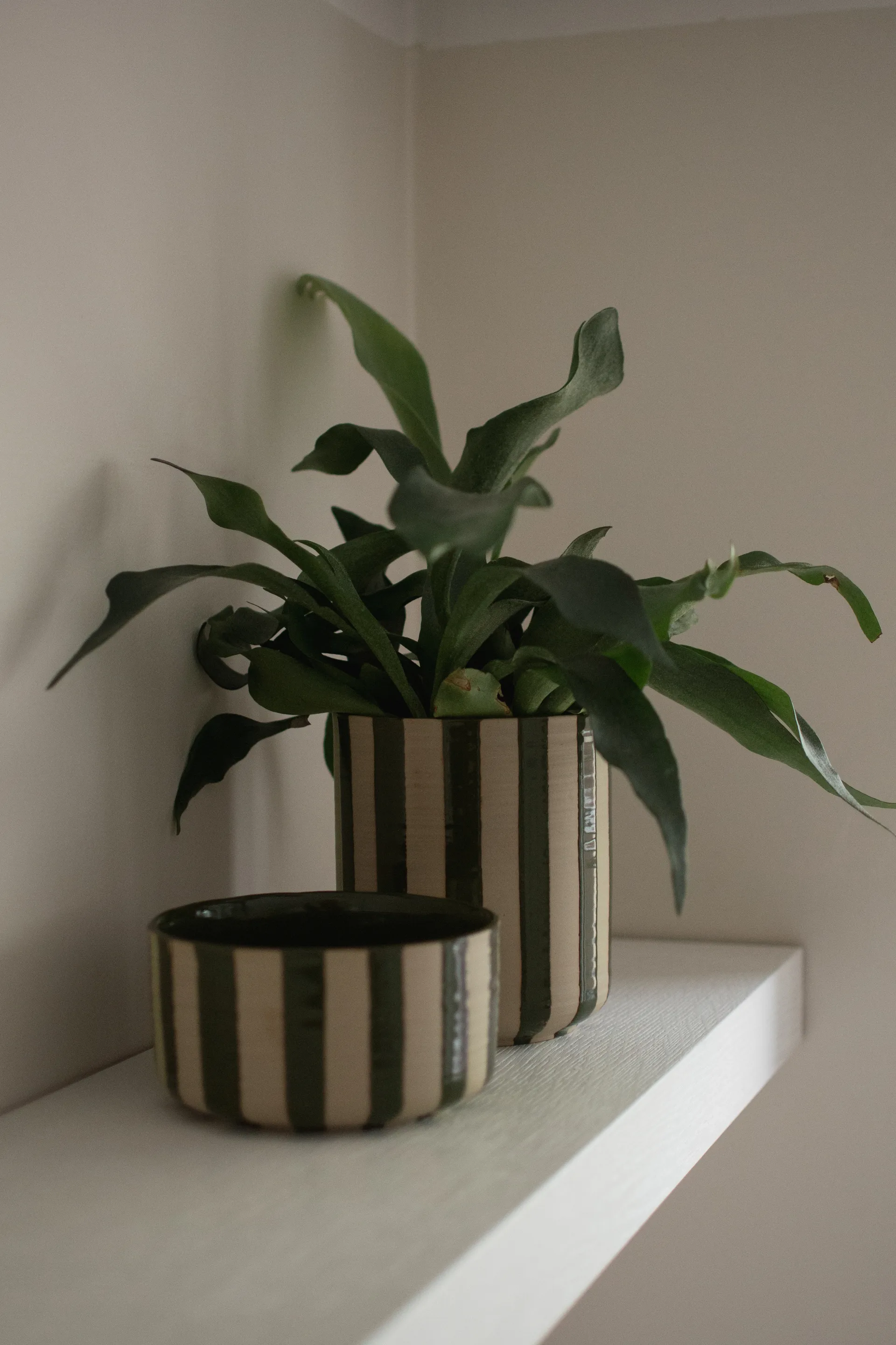 Vaso Line Ø14x16 cm, Stripe Green DBKD