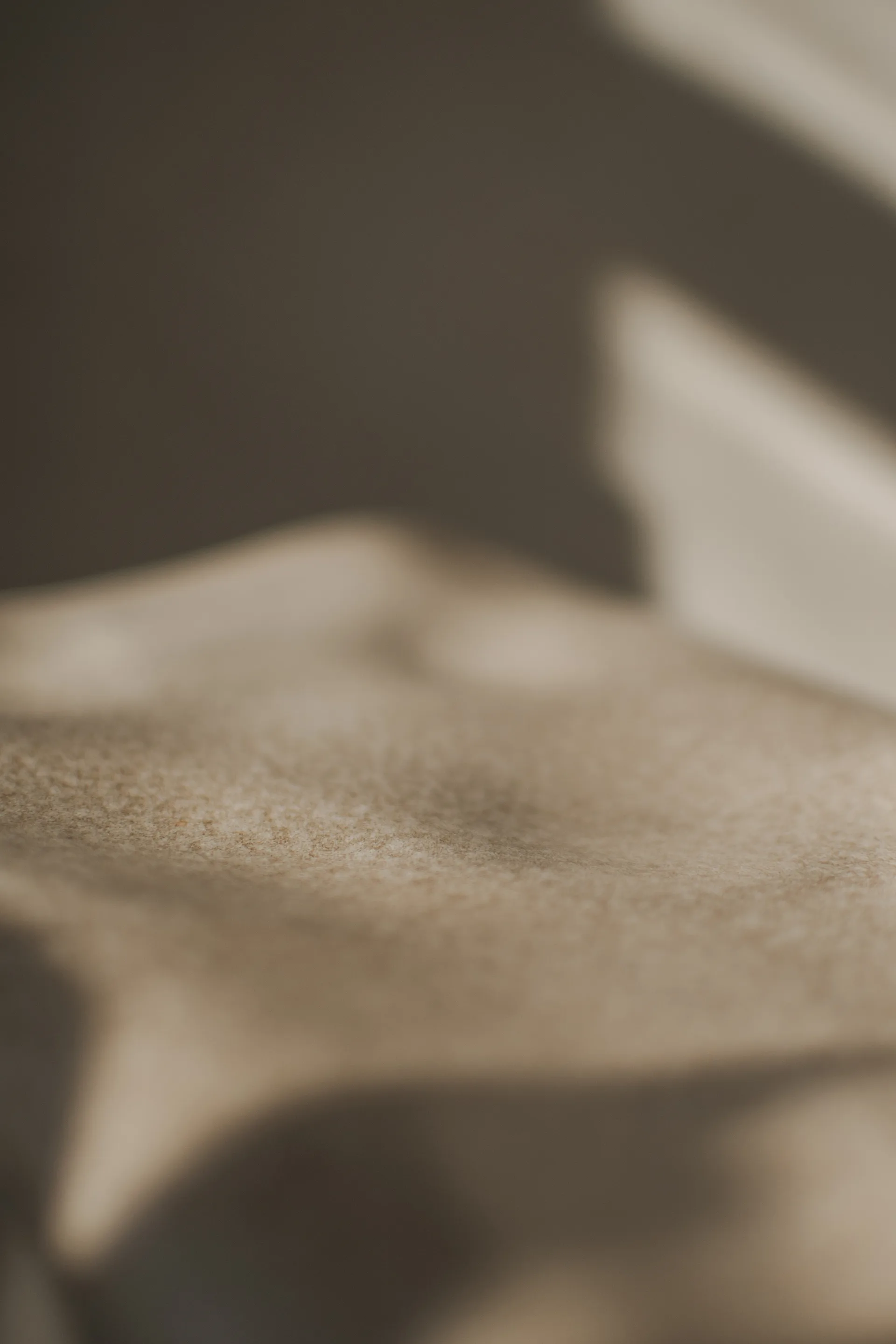 Vaso Meadow H30 cm, Beige DBKD